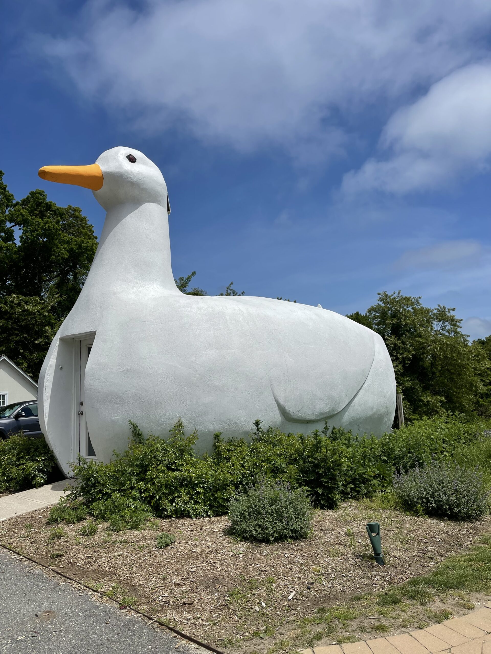 The Big Duck - Flanders, NY